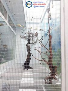 Làm Chuồng Chim Cảnh Đẹp Làm Chuồng Chim Cảnh Đẹp